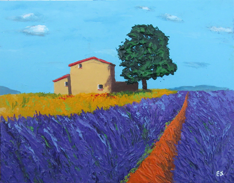 Lavender fields