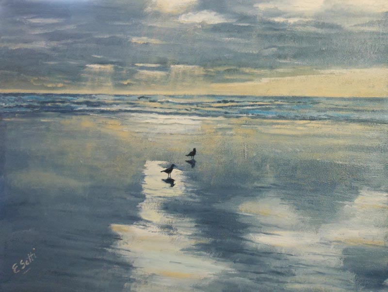 Seagulls at Ocean Beach