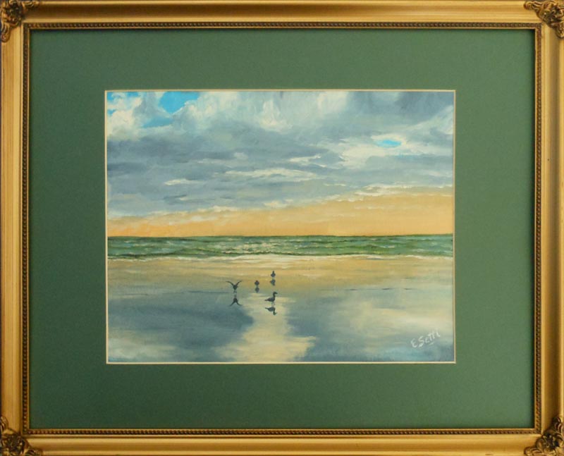 Seagulls Reflection