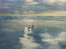 Seagulls at Ocean Beach